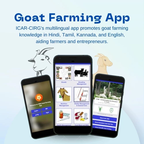 CIRG - Goat Farming